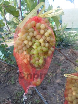 Мешок для винограда, 25*44см