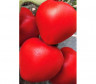Томат TMG 20422 F1, 250шт