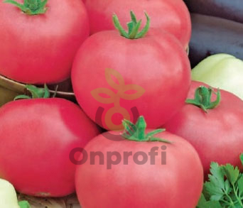 (м.ф.) Томат Непас 3 (Непасынкующийся розовый) 0,1г Седек