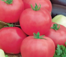 (м.ф.) Томат Непас 3 (Непасынкующийся розовый) 0,1г Седек