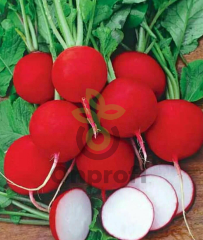 (м.ф.) Редис Рубин 20г