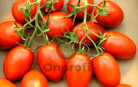 Томат Ромочка, 0,5гр (фасовка)