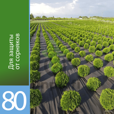 Агроволокно Агротекс Черный 80, (1,6м х 5м)