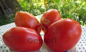 Томат Сахарная избушка, 0,5гр (фасовка)