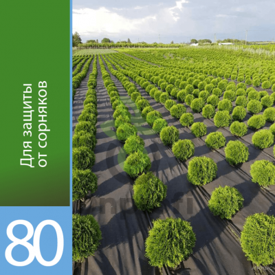 Агроволокно Агротекс Черный 80, (3,2м х 5м)