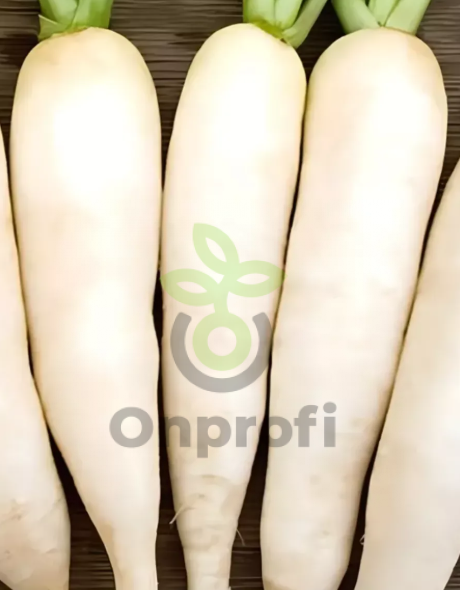 Редис Осенний гигант, 5гр (фасовка)