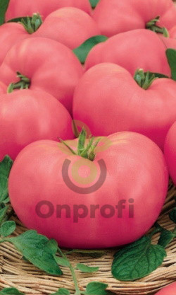 Томат Сахарный великан, 0,5гр (фасовка)