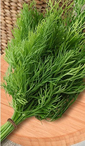 (м.ф.) Укроп Нежность 2гр Поиск