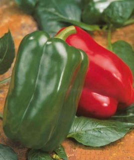 Перец Аркано F1,