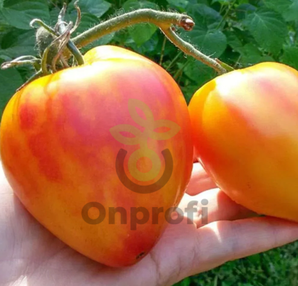 Томат Янтарное Сердце,