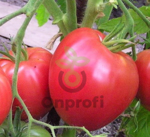 Томат Сердце Алтая, 0,5гр (фасовка)