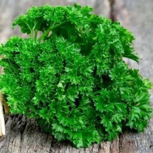 Петрушка Ажур, 100гр