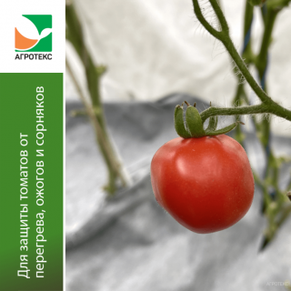 Комплект Агротекс для Томатов, упаковка
