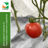 Комплект Агротекс для Томатов, упаковка