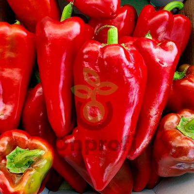 Перец Каптур F1,