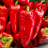 Перец Каптур F1,