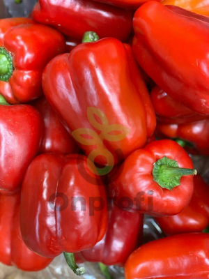 Перец Верано,