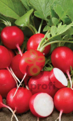 Редис Ризенбуттер, 5гр (фасовка)