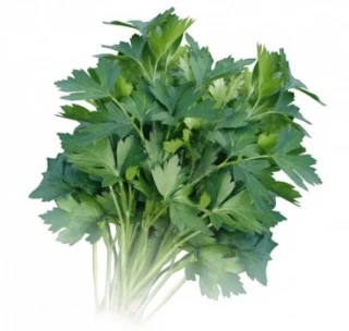 Петрушка Глория, 50гр