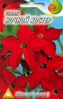 (м.ф.) Табак душистый Ночной костер 0,1г НК
