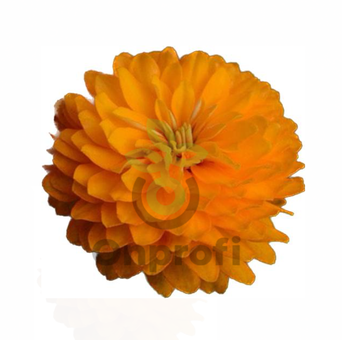 (п.ф.) Циния Дабл Захара Брайт Оранж F1, 500 шт  (№6-428)