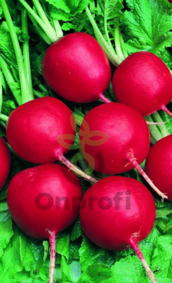 Редис Рубин, 5гр (фасовка)