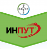 Фунгицид Инпут