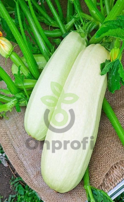 Кабачок Белоплодный Горный, 5гр (фасовка)