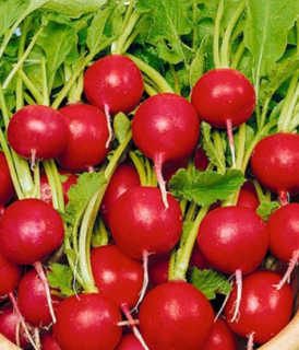 Редис Снегирек, 5гр (фасовка)