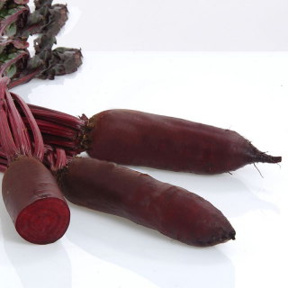 Свекла Родена,