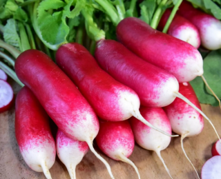 Редис Французкий завтрак, 5гр (фасовка)