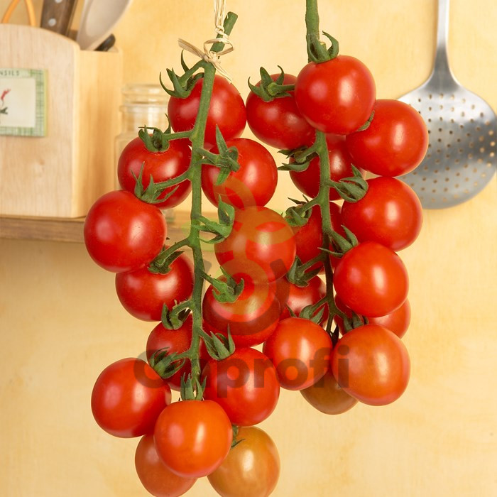 Томат Сладкий изюм, 0,5гр (фасовка)