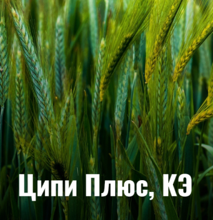 Инсектицид Ципи Плюс КЭ, 100мл (фасовка)