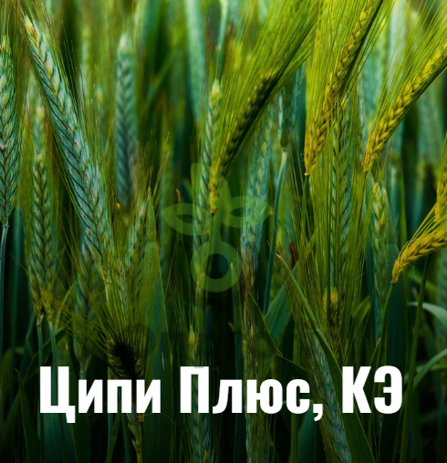 Инсектицид Ципи Плюс КЭ, 100мл (фасовка)