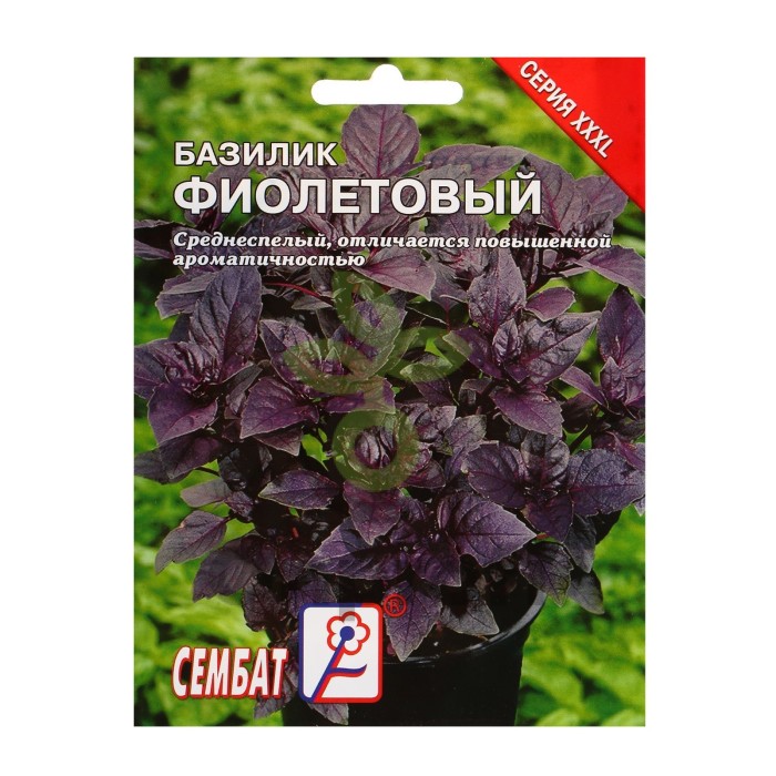 Купить Семена Базилика Фиолетового